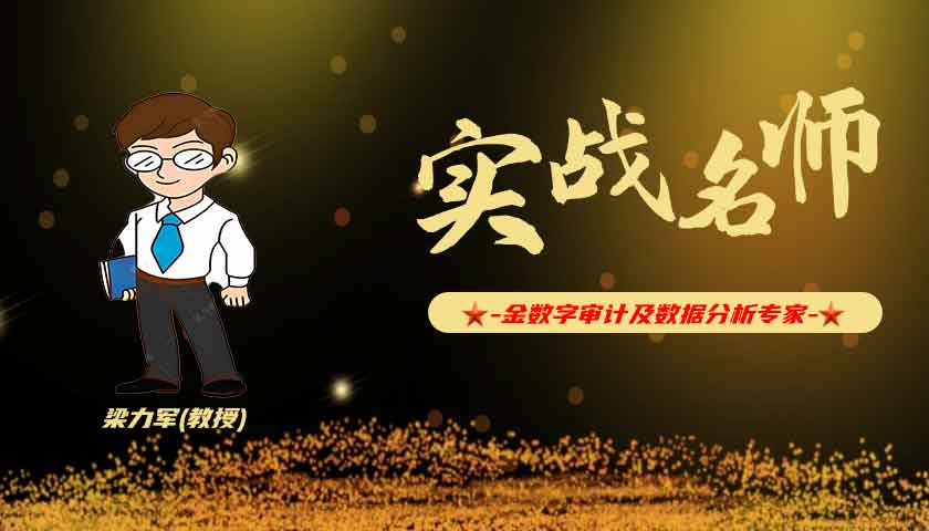 梁力军_金数字审计及数据分析专家