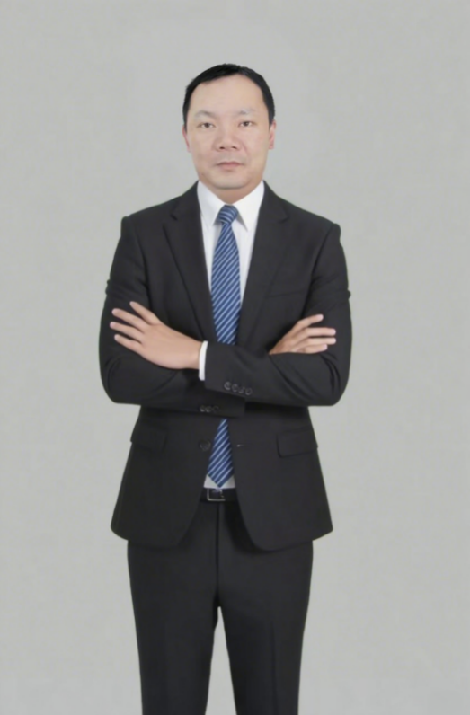 龙石 电力能源资深专家
